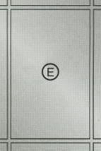 Custom aluminum closet door with face beveling E